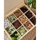 12 rekeszes termés- selyem és művirág  box fehér-natúr-krém