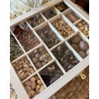 16 rekeszes termés box 