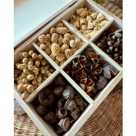 6 rekeszes termés box 