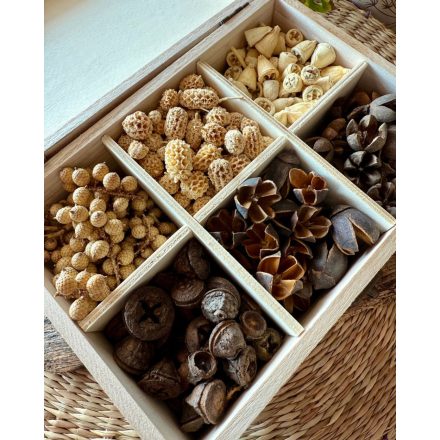 6 rekeszes termés box 