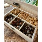 6 rekeszes termés box 