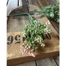 Mű Asperula bimbós  2 szál - Rózsaszín