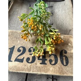 Mű Asperula bimbós  2 szál - Narancs