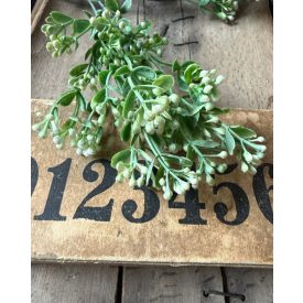 Mű Asperula bimbós  2 szál - Fehér