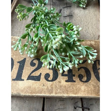 Mű Asperula bimbós  2 szál - Fehér