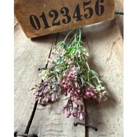 Mű Asperula bimbós  2 szál - Bíbor lila