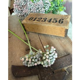   Nagybogyós ág 2 szál levelek nélkül - Krém púder halvány rózsaszín színátmenetes