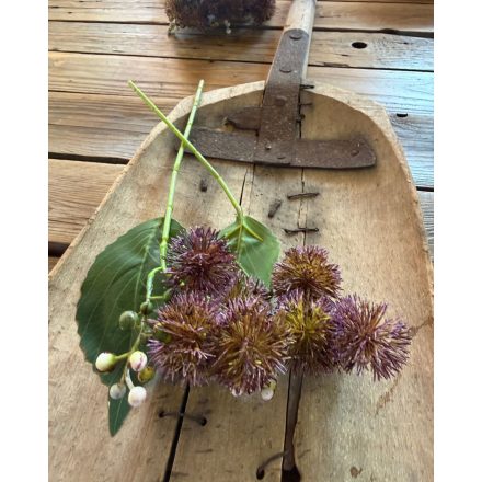 Mű bojtorján 2 szál - Mályva- lila 