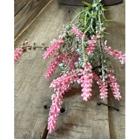 Mű levendula 8 szálas - Élénk rózsaszín