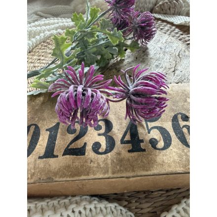 Mű őszirózsa 2 szál - Pinklila