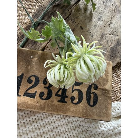 Mű őszirózsa 2 szál - Törtfehér