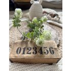 Mű őszirózsa 2 szál - Törtfehér