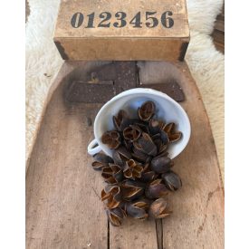 Bakuli termés natúr/barna