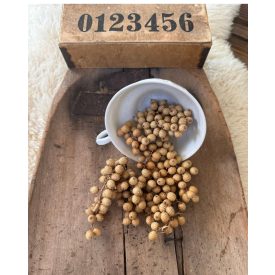 Canella bogyós ágacskák 