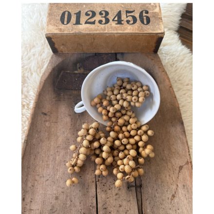 Canella bogyós ágacskák 