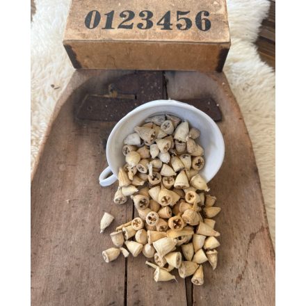 Eucalyptus  termés mini natúr/fehérített