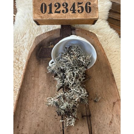 Izlandi zuzmó hamvas zöld 