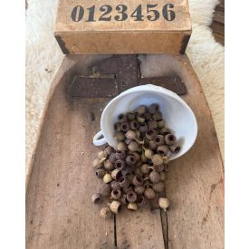 Eucalyptus  termés mini natúr/barna-zöldes