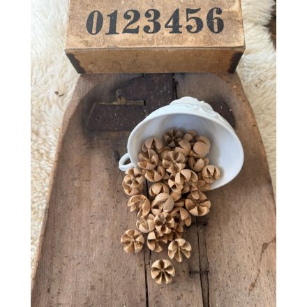 csillagrózsa liliom termés natúr/világos