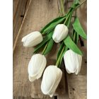 Tulipán  polifoam 3 szál - Törtfehér