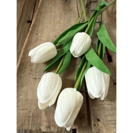 Tulipán  polifoam 3 szál - Törtfehér
