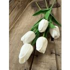 Tulipán  polifoam 3 szál - Törtfehér