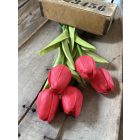 Tulipán  polifoam 5 szál - Piros