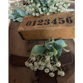 Mű zöld szodomai alma 2 ág Krém fehér