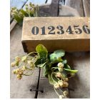 Mű zöld szodomai alma 2 ág Bézs