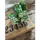 Mű zöld apró bogyós leveles 2 ág  Krém- halványzöld  Színátmenetes 