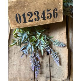   Mű zsálya 2 ág  6 virággal, levelekkel világos lila  színátmenetes